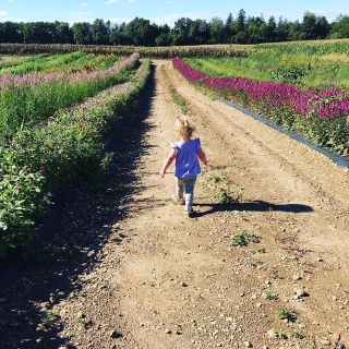 Rituals for a Shattered Mind