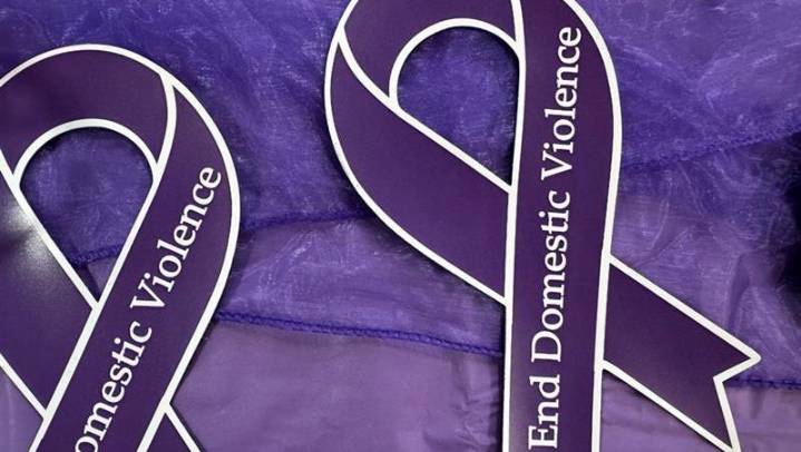 'It's in every community.' Law enforcement educates on domestic violence
