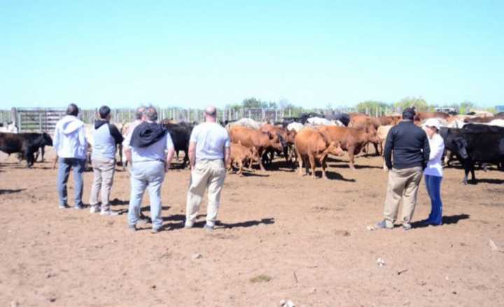 Senasa asesorará sobre la Resolución 530