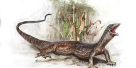 ¿Serpiente o lagarto? El fósil que borra las fronteras evolutivas