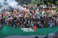 "Nos trataron como animales", activistas deportados de la flotilla para Gaza denuncian violencia