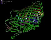 A biological 0-day? Threat-screening tools may miss AI