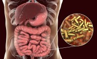 Listeriosis y shigelosis: dos infecciones silenciosas que ganan terreno en Zaragoza