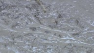 Cleanup continues after weekend flooding in Tooele County; 1 rescue called a 'miracle'