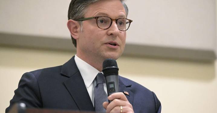 Mike Johnson: Trump can't be president for third term