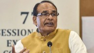Chauhan wants reduced role of private sector in seed pricing
