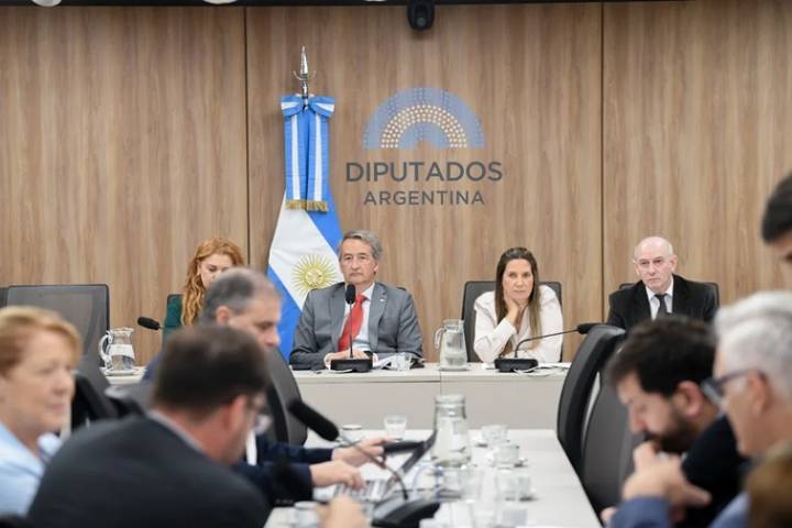 Interpelación a Guillermo Francos: oposición sella dictamen por incumplimiento de la ley de Discapacidad
