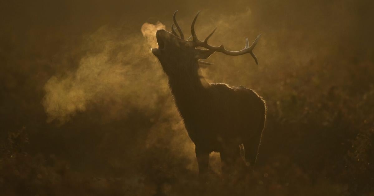 The top photos of the day by AP's photojournalists