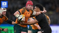Rugby Championship scrapped for 2026 due to Test calendar squeeze