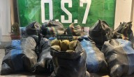 Detienen a venezolano que transportaba 316 kilos de marihuana en carretera de La Ligua
