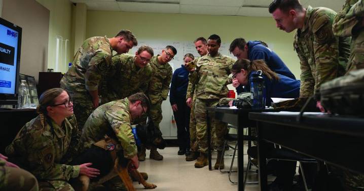 JBER holds K9 TCCC training for Eielson AFB