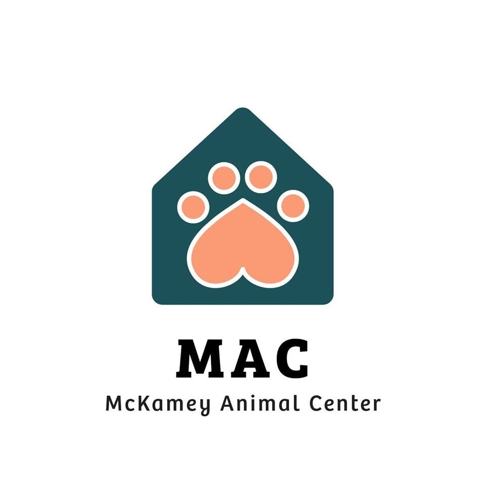 McKamey Animal Center hosting adoption event at Crown Subaru Dealership