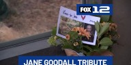 Former Oregon Zoo keeper reflects on Jane Woodall’s legacy