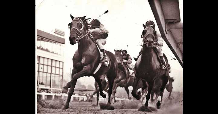 Green Mountain race track site is scheduled for auction