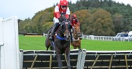 Exeter Racecourse off to a flying start as local hero Time To Bite shines