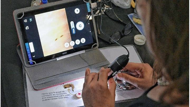 Dengue en Santa Fe: cómo funciona la red de monitoreo que permitió detectar la presencia del mosquito todo el año