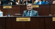 Ley Constanza: una década de persistencia y amor transformada en política pública