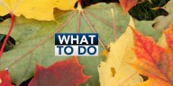 What to Do: Saturday, October 25