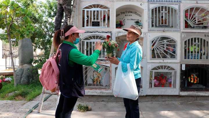 Diresa advierte riesgo de criaderos de zancudos en cementerios por floreros con agua