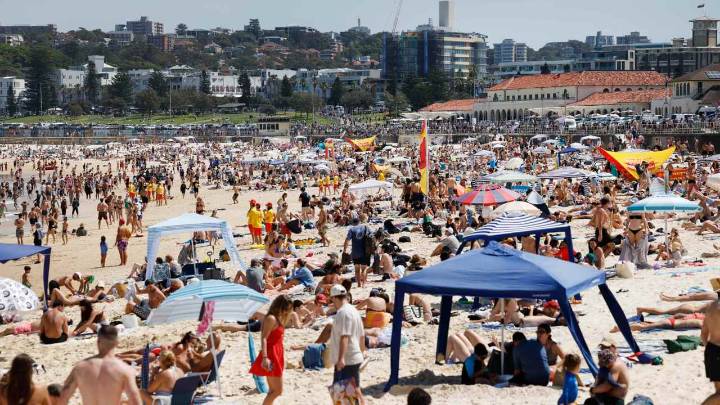 Sydney’s cleanest and dirtiest beaches revealed in new NSW government report