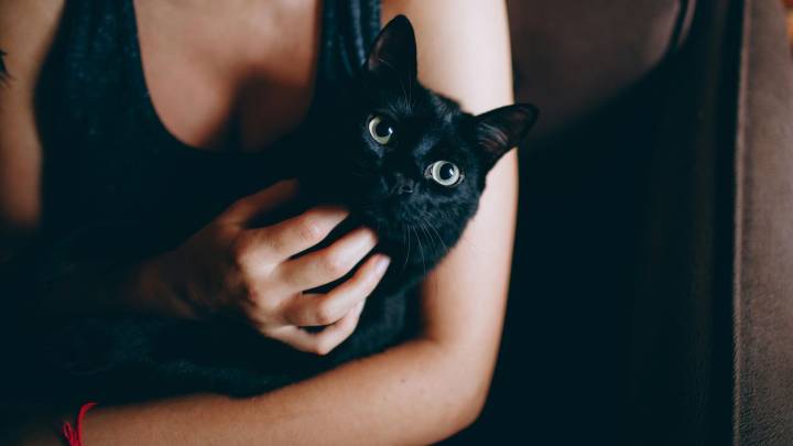 Halloween: Spanish town bans black cat adoptions; here’s why