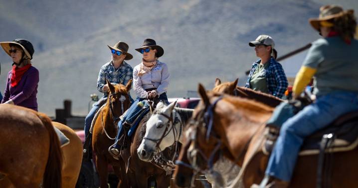 Trump's Argentina beef import plan worries ranching industry