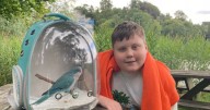 Edinburgh schoolboy back with family after 'nightmare' parrot health scare