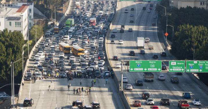 These protesters blocked the 110 Freeway. Now, their cases are on track to be dismissed