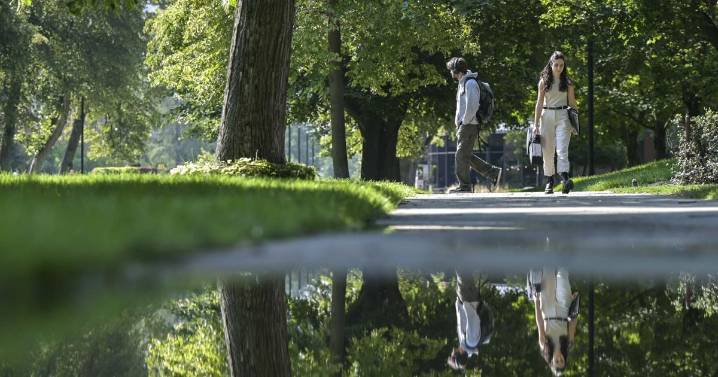 UM receives $1.2M for youth mental health professional pipeline