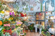 Imágenes | El Jardín de Paula, un oasis de flores en plena calle Alfonso