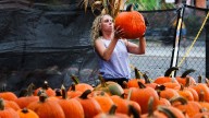 Take in the sights of the season at Gallagher’s Pumpkin Patch