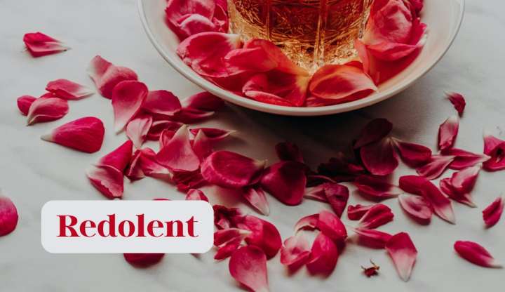 Today's word of the day for Oct. 16, 2025 is 'redolent'