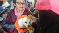 ¡Amor y gratitud! En Hidalgo, Kukur Tihar rendirá tributo a los animales y a su lealtad