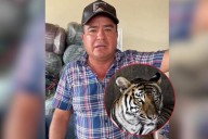 Tigre escapa de zoológico tras inundaciones en Xicotepec