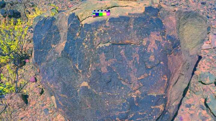 Investigadores descubrieron un campo de petroglifos en Tinogasta