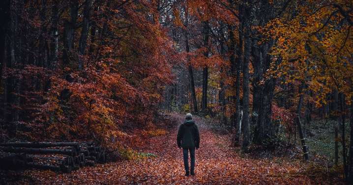Most haunted forests in the UK from Anne Boleyn's ghost to the 'Devil's Whirlpool'