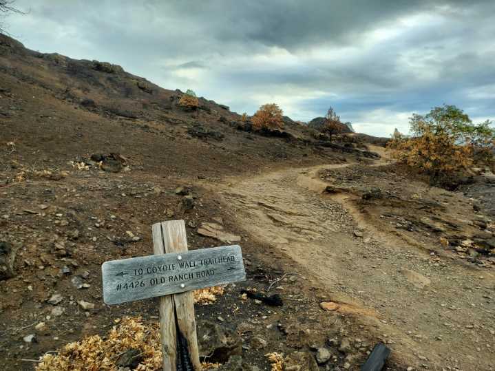 Coyote Wall in the Columbia River Gorge see a drastic change in scenery after wildfire burns through area