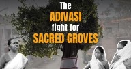 Sacred groves are disappearing in Jharkhand. Adivasis are fighting to protect them