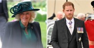 Prince Harry's Queen Camilla Claim Slammed As 'Lies' by Ex