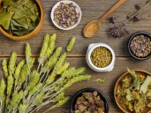 Plantas medicinales en México: remedios tradicionales que siguen vigentes