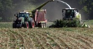 Farmers Warn of Economic Crisis as Prices Plummet and Input Costs Rise