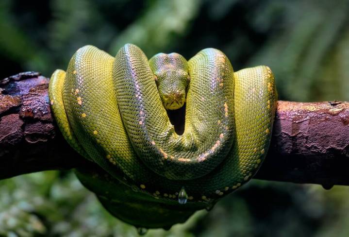 Vulnerable Rust crate exposes uv Python packager • The Register