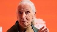 Muere a los 91 años la etóloga británica Jane Goodall, experta mundial en chimpancés