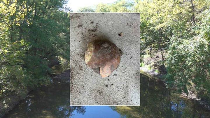 4,200-year-old human remains found along Indiana riverbank