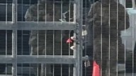 New video shows Texas National Guard at ICE facility near Chicago