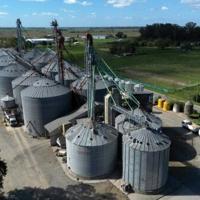 In Argentine farm town, Milei mania fizzles