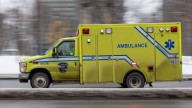 Woman struck and killed by bus near Trudeau airport