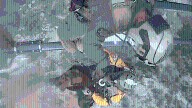 Dog rescued by helicopter after falling into canyon in Arizona