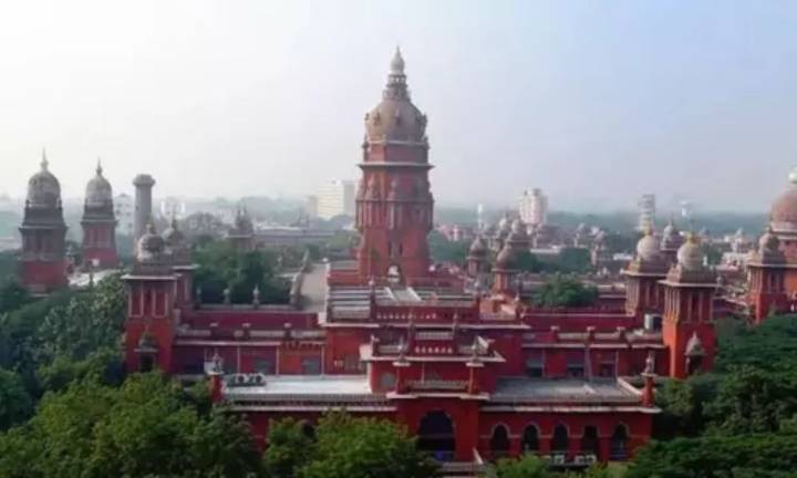 Madras HC orders Air India to pay Rs 35,000 after hair found in food