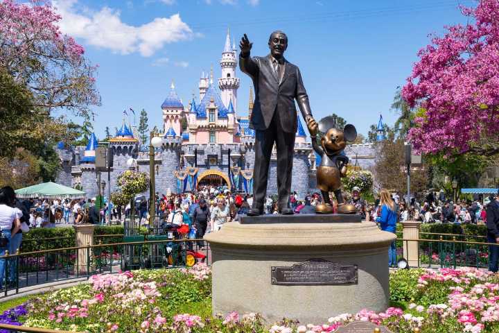Disneyland Guest Dies After Suffering Possible Heart Attack in Iconic Attraction